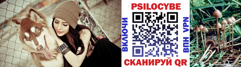 Псилоцибиновые грибы мухоморы  Снежногорск 